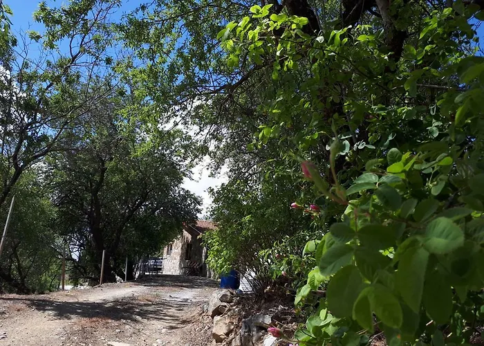 Agrompelo House * Αγρός