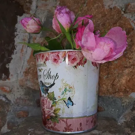 Agrompelo House * أغروس