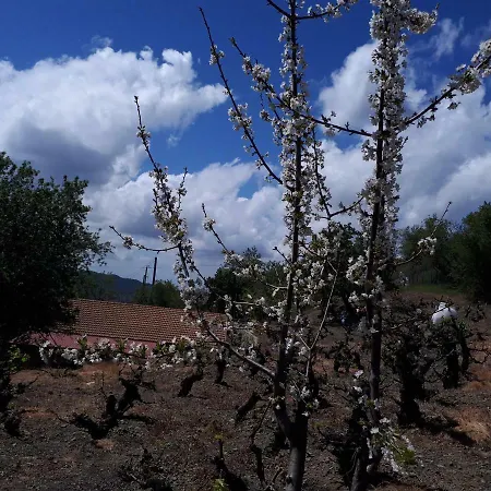 Agrompelo House Сasa de vacaciones Agros