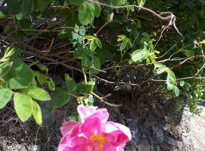 Agrompelo House * Agros