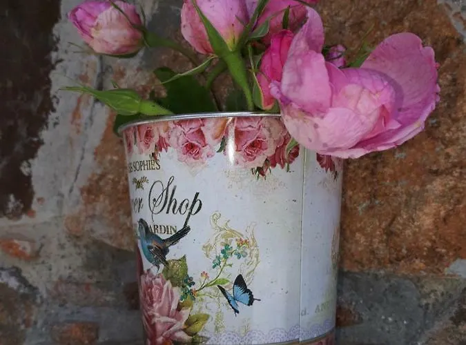 Agrompelo House * Agros