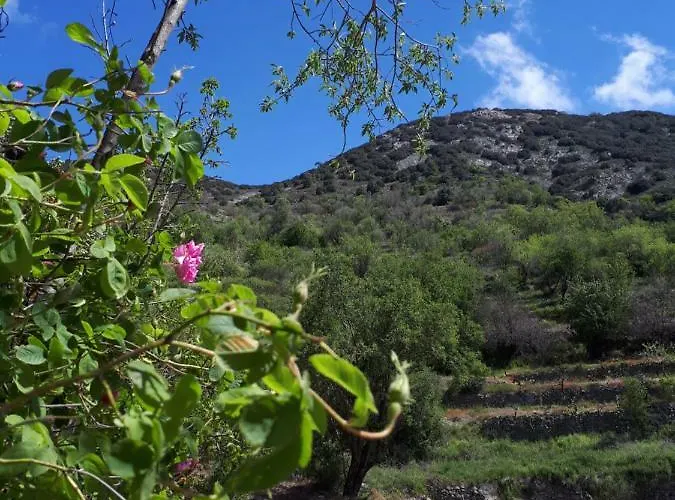 Agrompelo House Semesterbostad *