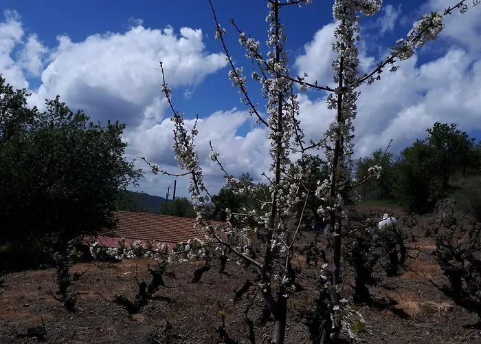 Agrompelo House Case de vacanță Agros